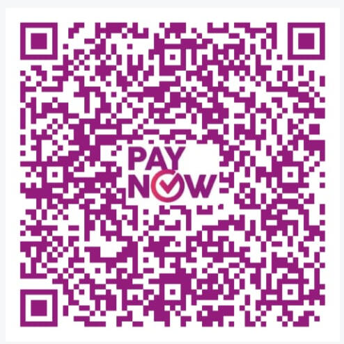 PayNow